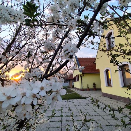 Idylicky Rodinny Penzion Arkadia Pri Dunajskej Cyklotrase Kyselica Exterior foto