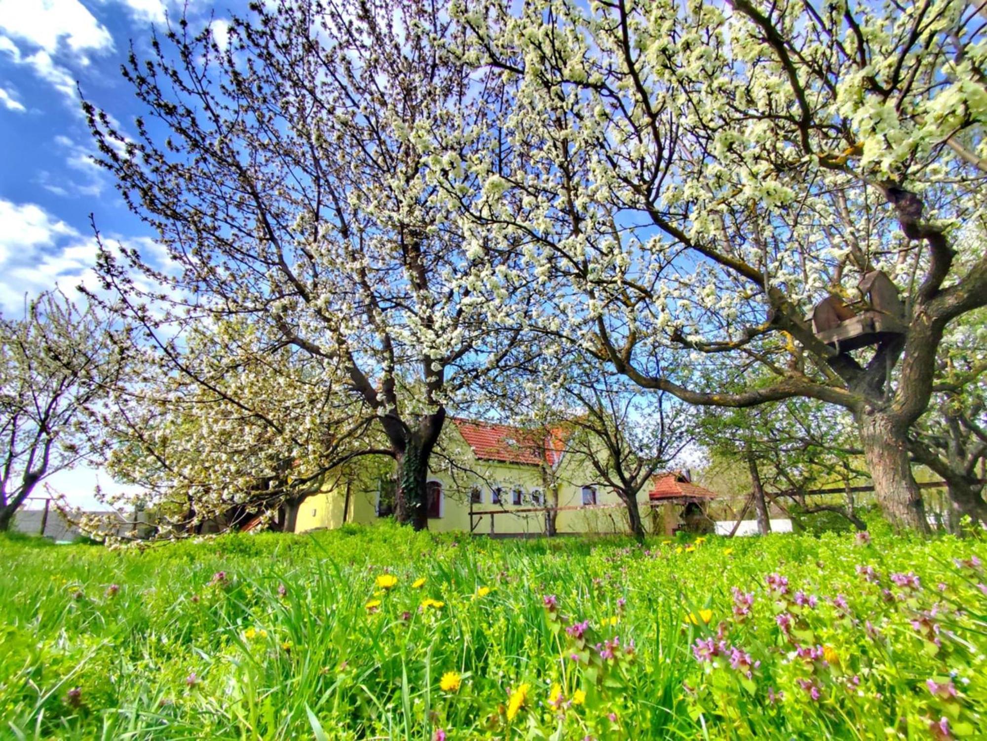 Idylicky Rodinny Penzion Arkadia Pri Dunajskej Cyklotrase Kyselica Exterior foto